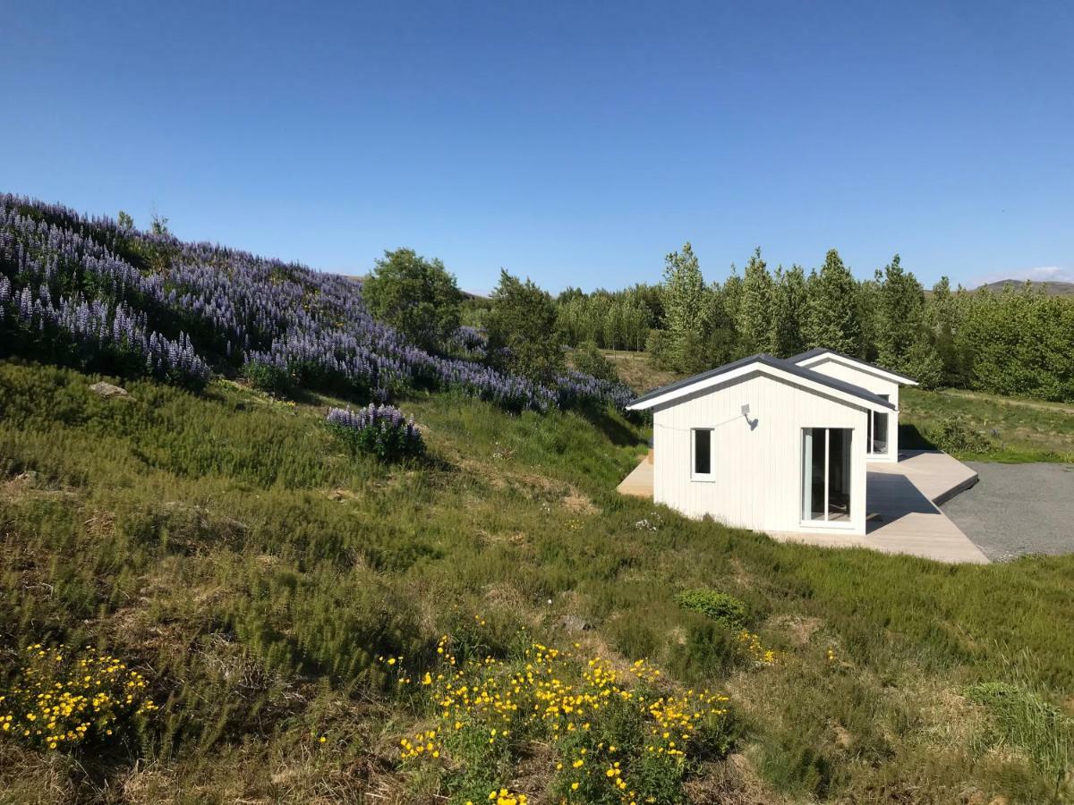 Dalabyggd Cottages - Romantic Stay By The Secret Lagoon 弗洛蒂尔 外观 照片